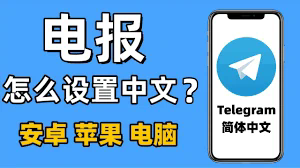 如何在telegram中加人